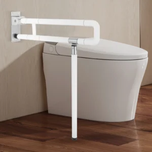 Toilet Grab Bar