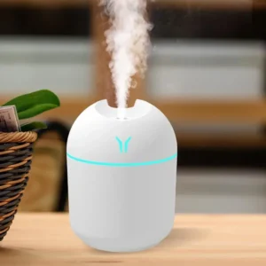 Essential Oils for Diffusers and Humidifier